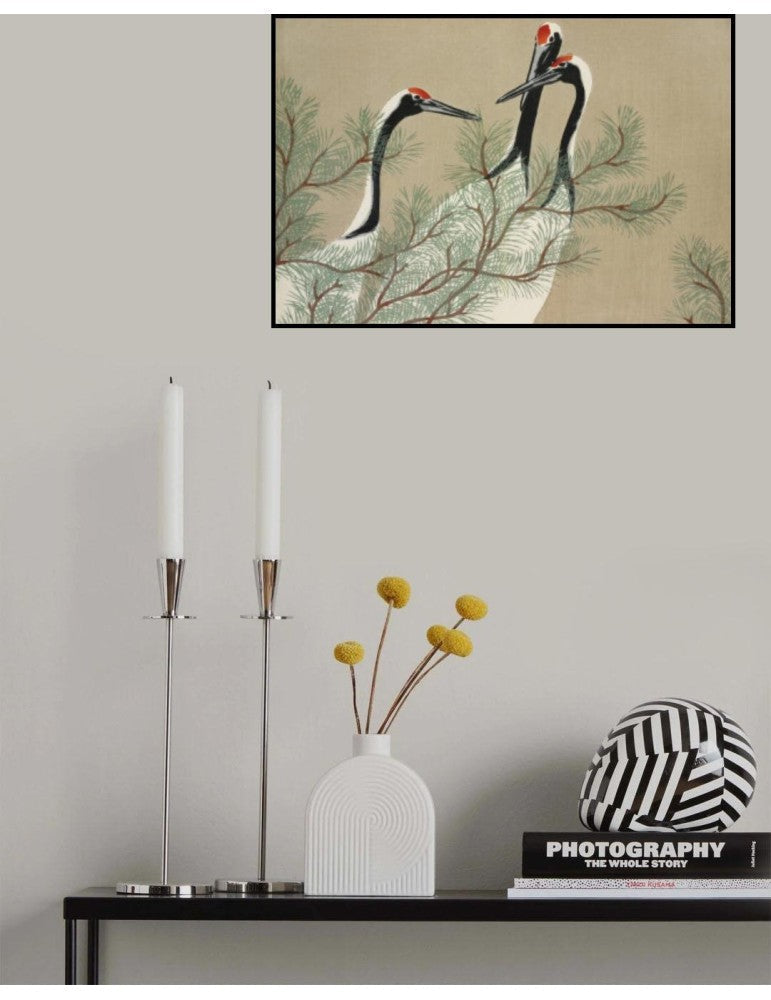 Cranes From Momoyogusa Kamisaka Sekka