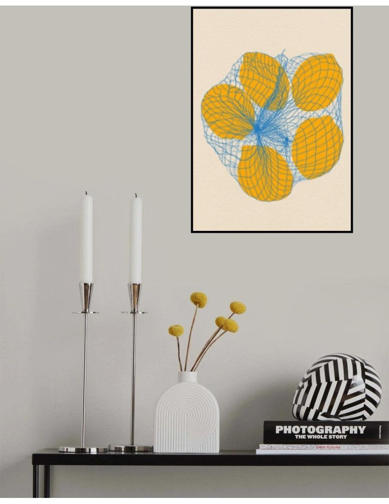 Five Lemons In A Net Bag Rosi Feist