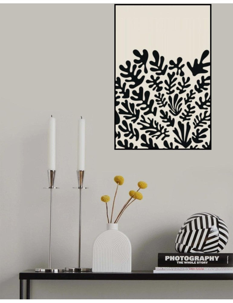 Henri Matisse Black Algae Collection 2 jay stanley